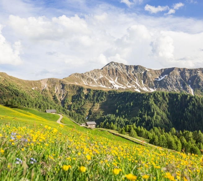 Esperienze di trekking - godersi la natura
