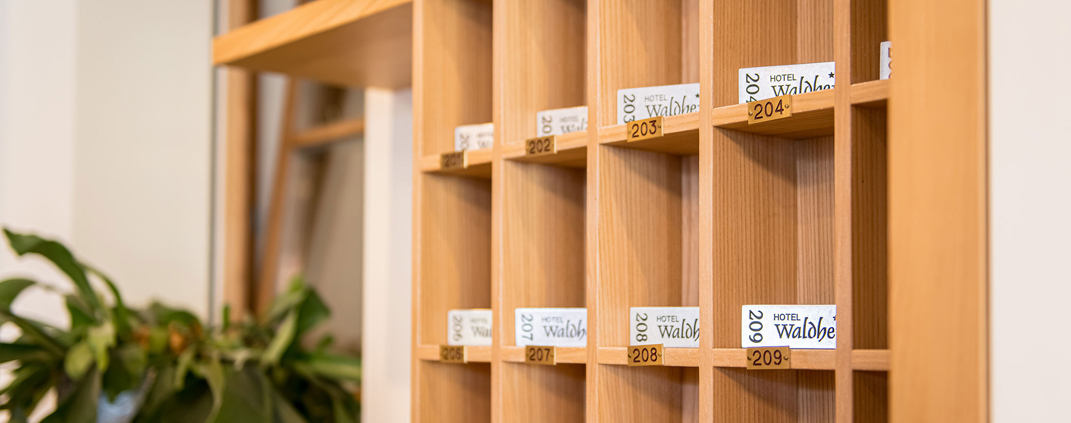 Ein hölzerner Hotelschlüsselhalter mit beschrifteten Schlüsselkarten für die Zimmer 204, 205, 207, 208 und 209. - Hotel Waldheim